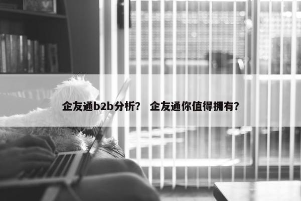企友通b2b分析？ 企友通你值得拥有？