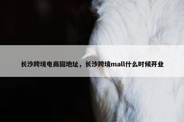 长沙跨境电商园地址，长沙跨境mall什么时候开业