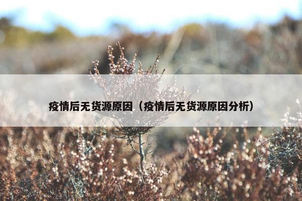 疫情后无货源原因（疫情后无货源原因分析）