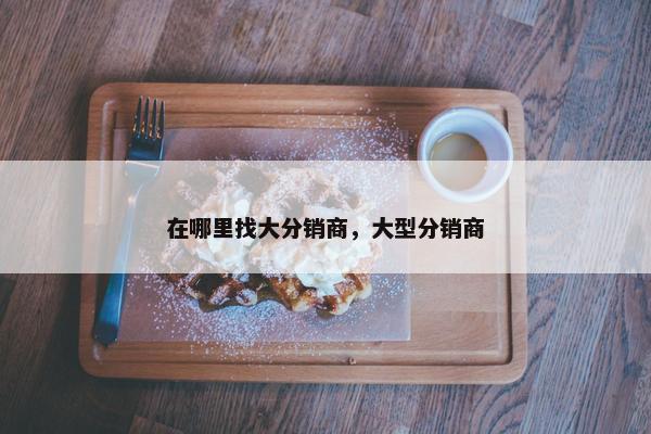 在哪里找大分销商，大型分销商