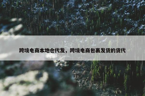 跨境电商本地仓代发，跨境电商包裹发货的货代
