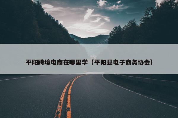 平阳跨境电商在哪里学（平阳县电子商务协会）