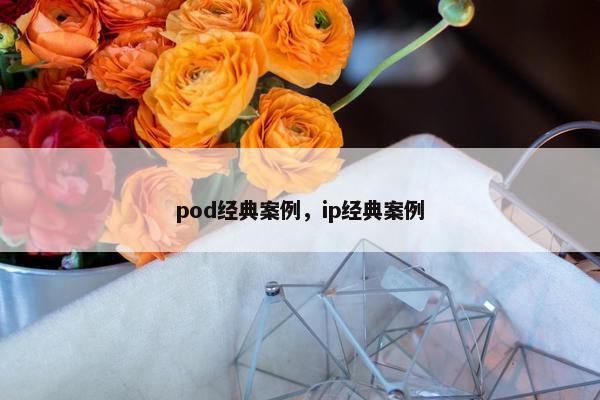 pod经典案例，ip经典案例