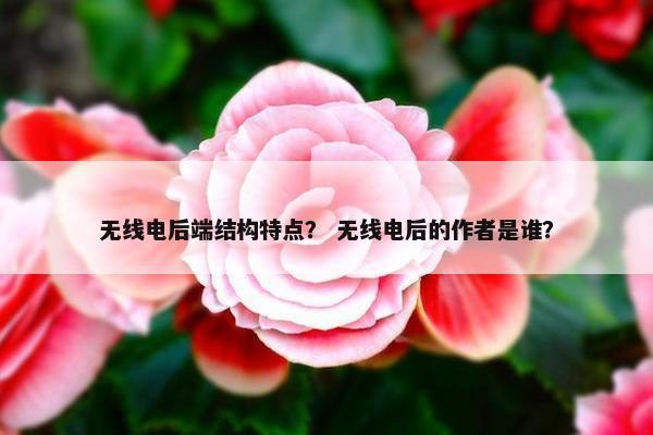 无线电后端结构特点？ 无线电后的作者是谁？
