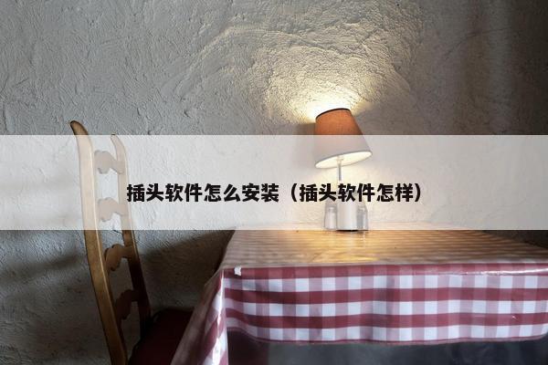 插头软件怎么安装（插头软件怎样）
