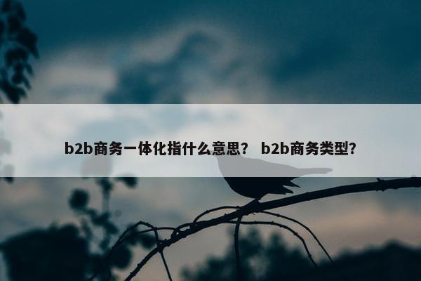 b2b商务一体化指什么意思？ b2b商务类型？