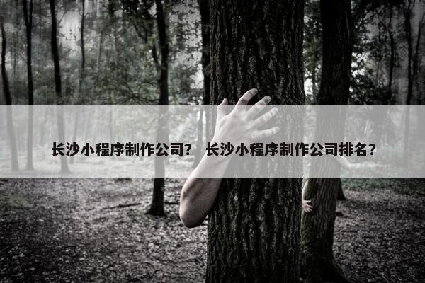 长沙小程序制作公司？ 长沙小程序制作公司排名？