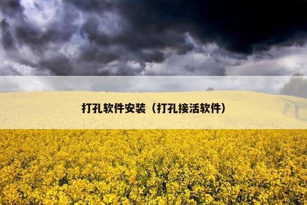 打孔软件安装（打孔接活软件）