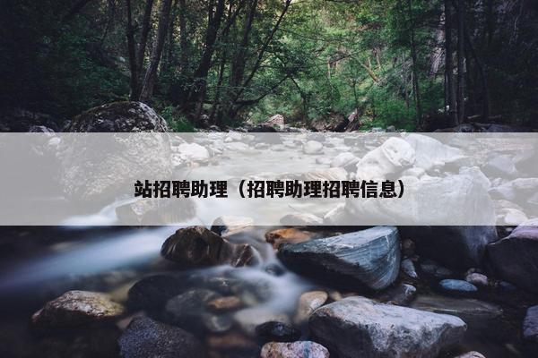 站招聘助理（招聘助理招聘信息）