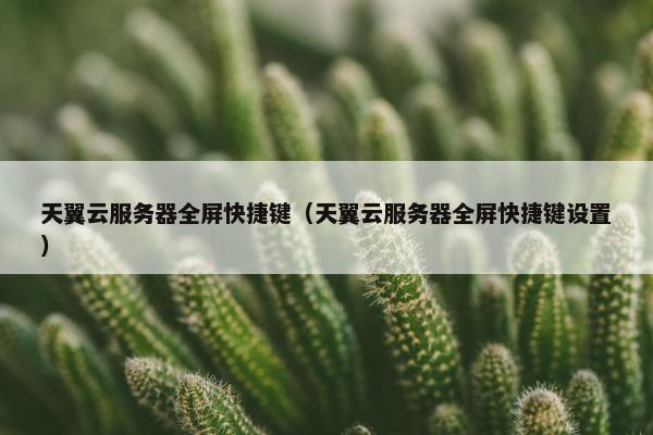 天翼云服务器全屏快捷键（天翼云服务器全屏快捷键设置）