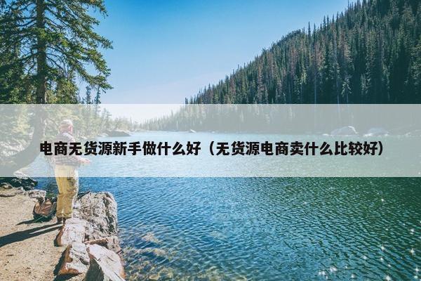 电商无货源新手做什么好（无货源电商卖什么比较好）