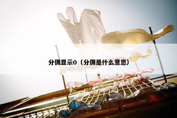 分佣显示0（分佣是什么意思）