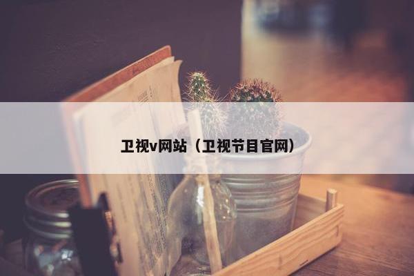 卫视v网站（卫视节目官网）
