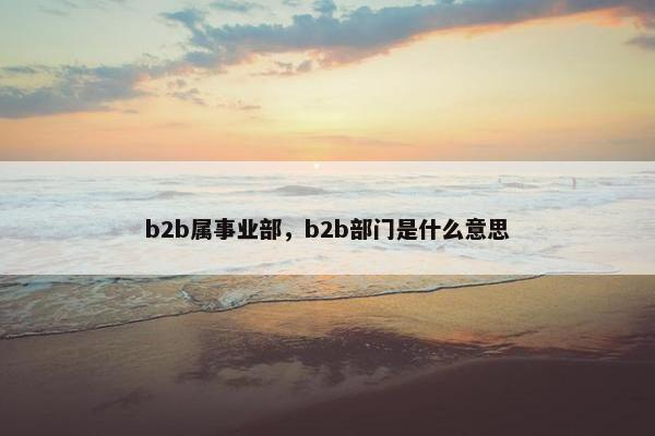 b2b属事业部，b2b部门是什么意思