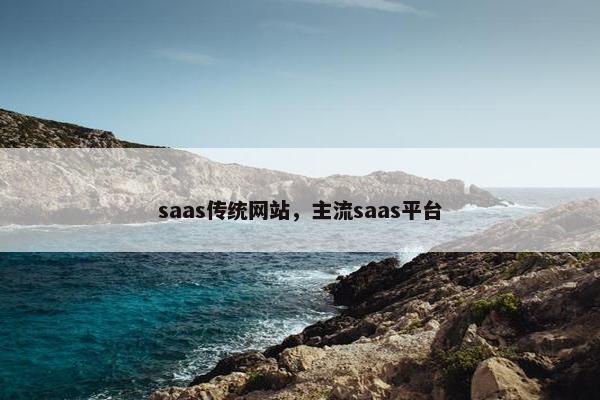 saas传统网站，主流saas平台