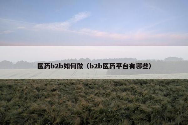 医药b2b如何做（b2b医药平台有哪些）