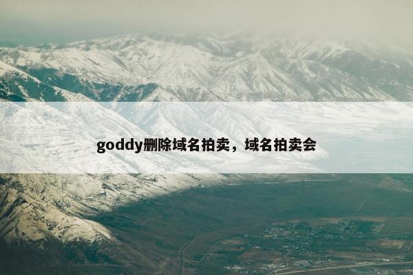goddy删除域名拍卖，域名拍卖会