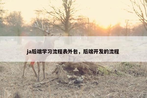 ja后端学习流程表外包，后端开发的流程