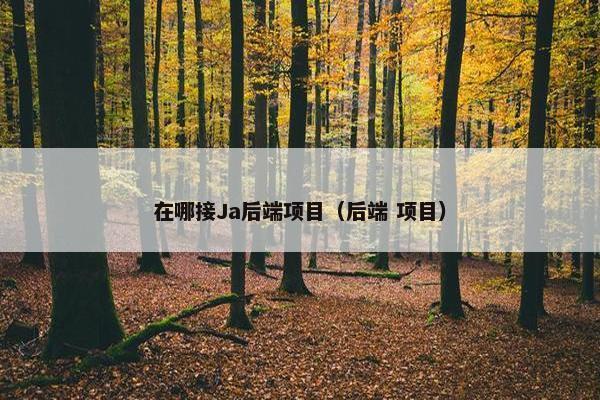 在哪接Ja后端项目（后端 项目）