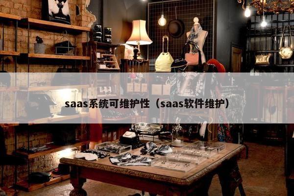 saas系统可维护性（saas软件维护）