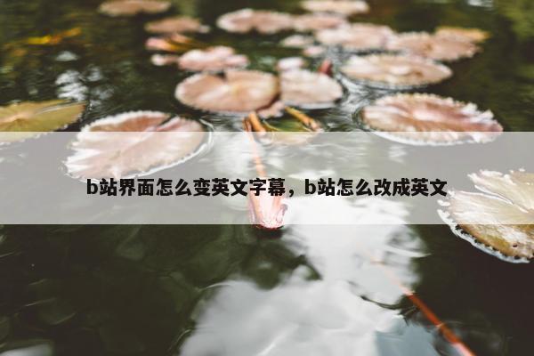 b站界面怎么变英文字幕，b站怎么改成英文