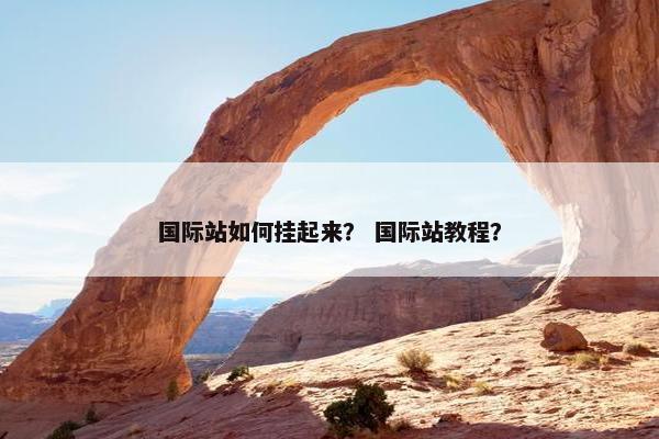 国际站如何挂起来？ 国际站教程？