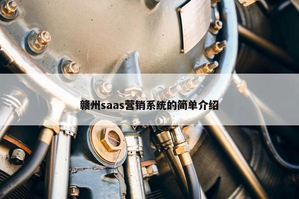 赣州saas营销系统的简单介绍