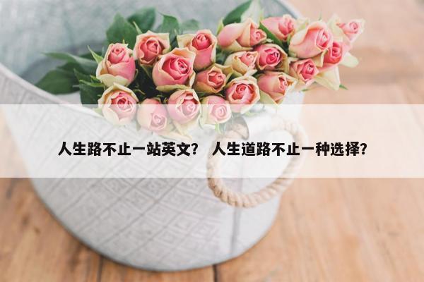 人生路不止一站英文？ 人生道路不止一种选择？