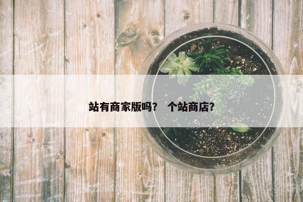 站有商家版吗？ 个站商店？