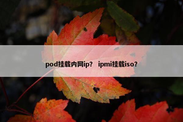 pod挂载内网ip？ ipmi挂载iso？