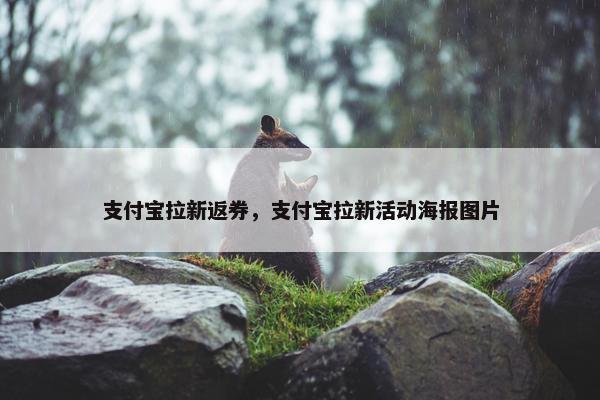 支付宝拉新返券，支付宝拉新活动海报图片