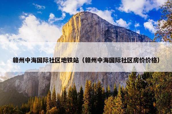 赣州中海国际社区地铁站（赣州中海国际社区房价价格）