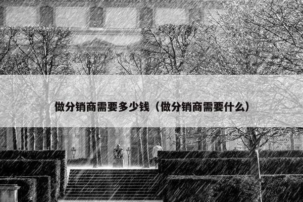 做分销商需要多少钱（做分销商需要什么）