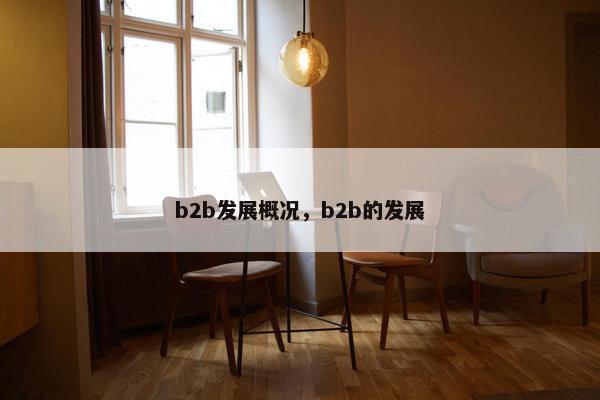 b2b发展概况，b2b的发展