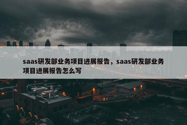 saas研发部业务项目进展报告，saas研发部业务项目进展报告怎么写