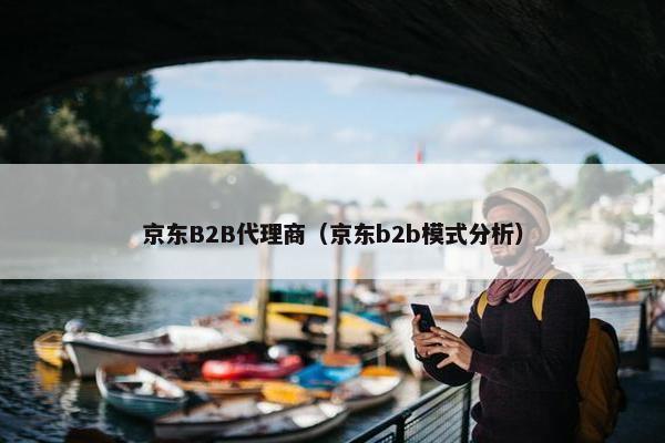 京东B2B代理商（京东b2b模式分析）