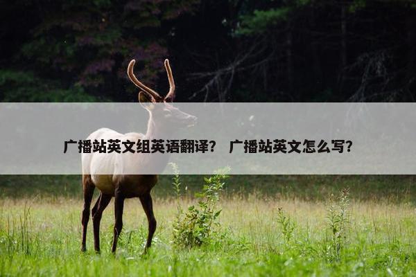 广播站英文组英语翻译？ 广播站英文怎么写？