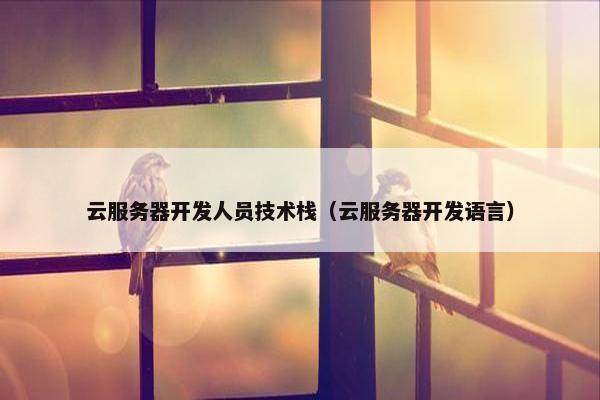 云服务器开发人员技术栈（云服务器开发语言）