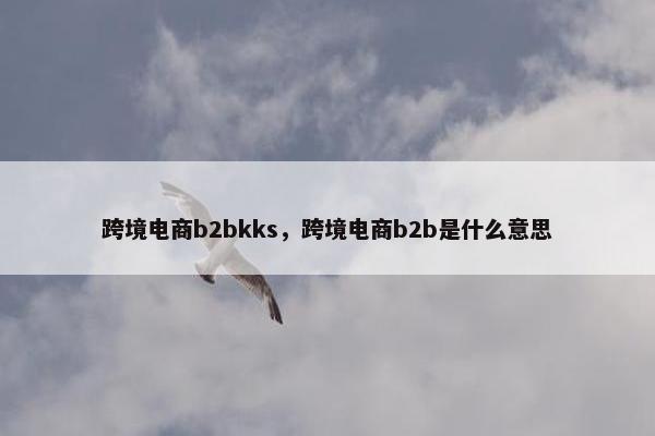 跨境电商b2bkks，跨境电商b2b是什么意思