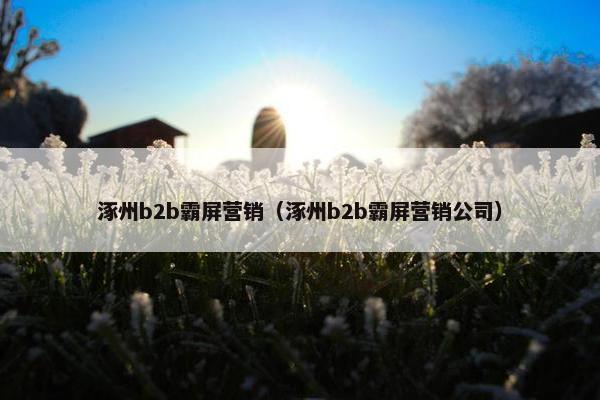 涿州b2b霸屏营销（涿州b2b霸屏营销公司）