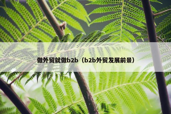做外贸就做b2b（b2b外贸发展前景）