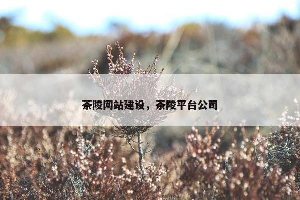 茶陵网站建设，茶陵平台公司