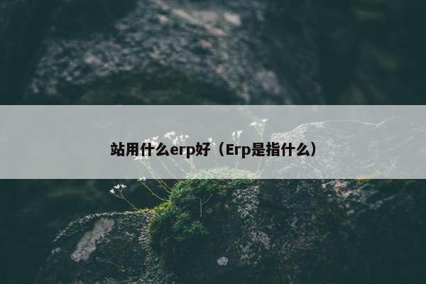 站用什么erp好（Erp是指什么）