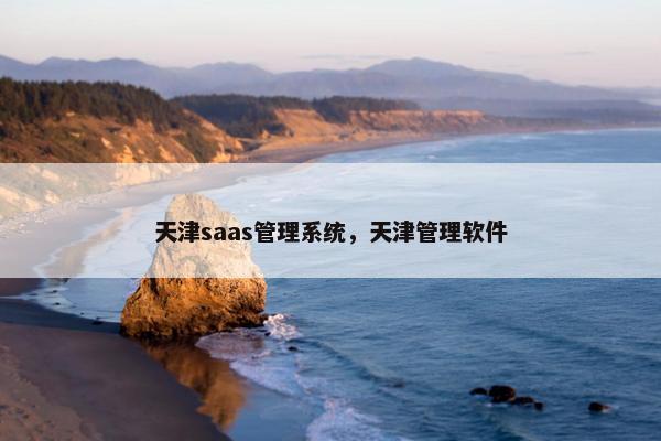 天津saas管理系统，天津管理软件