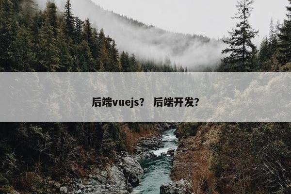 后端vuejs？ 后端开发？