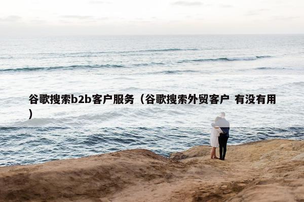 谷歌搜索b2b客户服务（谷歌搜索外贸客户 有没有用）