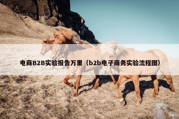 电商B2B实验报告万里（b2b电子商务实验流程图）