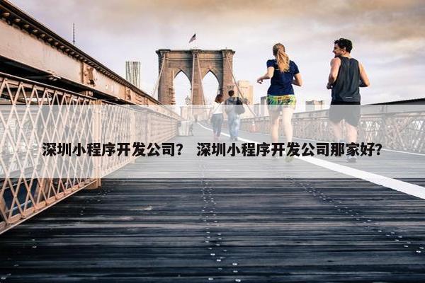 深圳小程序开发公司？ 深圳小程序开发公司那家好？