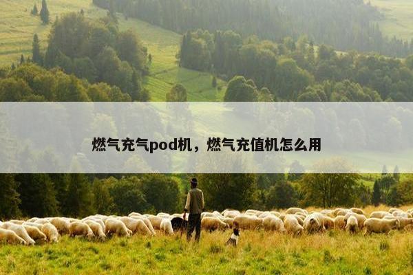 燃气充气pod机，燃气充值机怎么用