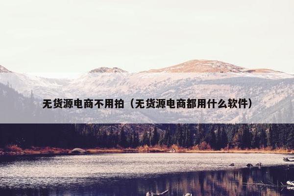 无货源电商不用拍（无货源电商都用什么软件）